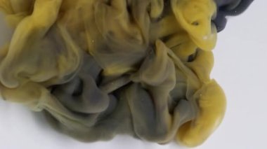 Mürekkep sıçraması. Soyut boya. Beyaz yaratıcı sanat eserlerine yayılan su karışımında çözünmüş mor sarı altın rengi bulut buharı..