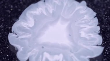 Mürekkep lekesi. Sıvı sıçraması. Beyaz akrilik boya yuvarlak damla siyah parıldayan soyut ıslak arka plan. Sanat pigmenti su bulanıklığı karışımı.