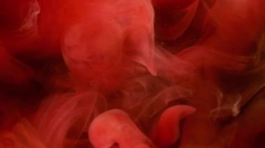 Duman dokusu. Renk sıvısı. Odaklanamayan kırmızı sıvı kıvrımlı akrilik pigment buharı soyut yaratıcı siyah arkaplanda yükseliyor..