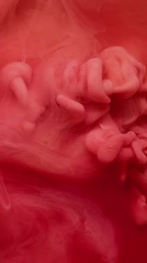 Dikey video. Puslu bir arkaplan. Soyut boya. Sanatın üzerinde yüzen akrilik su karışımında çözünmüş pembe kırmızı bulut buharı.