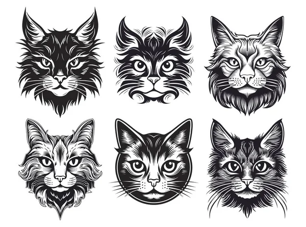 Wektorowy Zestaw Portretów Kota Cat Twarz Szkic Styl Ilustracja Izolowane — Wektor stockowy