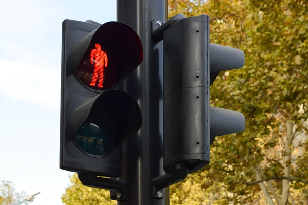 Lit red stop light signal with standing pedestrian man symbol, on the trees and sky background.
