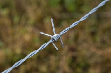 Yeşil çimen arka planında sığ bir alan derinliği olan dikenli telli güvenlik çiti yakın plan çekimi..