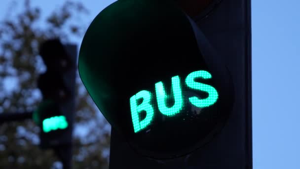 青い夜の空の背景 ハンドヘルドのビデオ効果が付いているクローズアップ ショットのライトが付いているBusのテキスト緑の光信号 — ストック動画