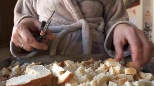 Kobieta Kroi Kromki Chleba Nożyczkami Małe Kawałeczki Żeby Zrobić Domowe — Wideo stockowe