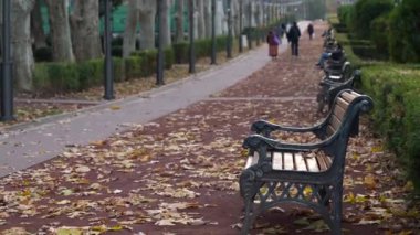 Sarı sonbahar yaprakları, eski tarz ahşap banklar, yeşil çalılar ve bulanık arka planda yürüyen insanlarla dolu halka açık bir park. Gürcistan, Tiflis 'teki Vake Park' ın geniş açılı görüntüsü.