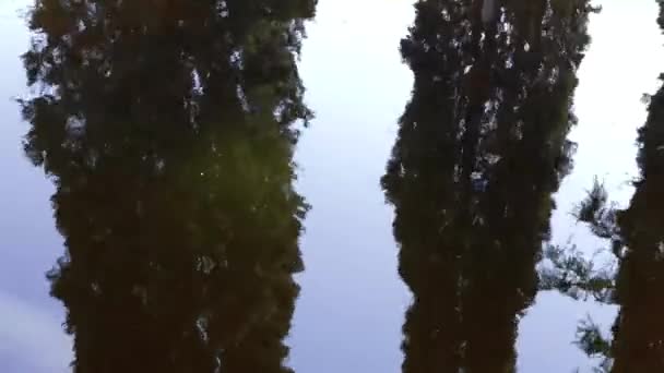 Árboles Verdes Chipre Cielo Azul Reflejos Ondulados Superficie Las Aguas — Vídeos de Stock