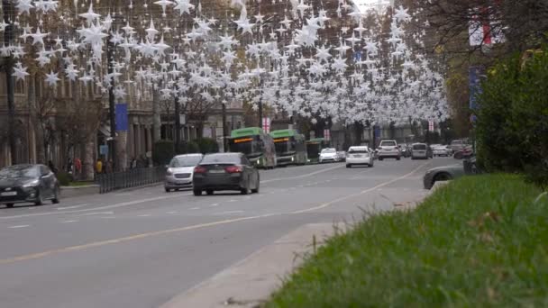 Deze Video Toont Bruisende Rustaveli Avenue Daglicht Prachtig Versierd Met — Stockvideo