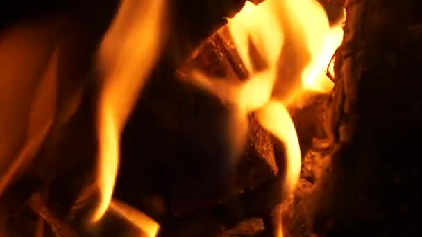 Burning Firewood Vibrant Flames Embers Extreme Close View — Stock Video