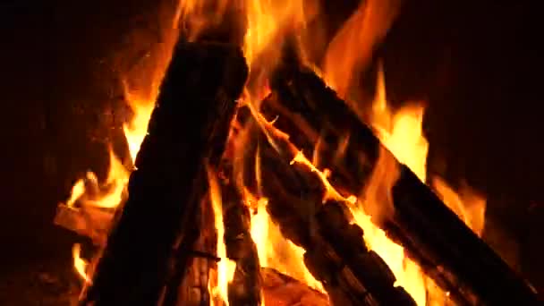 Firewood Burning Fireplace Vibrant Flames Embers Close View — Stock Video