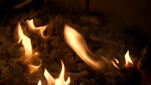 Brochettes Viande Grésille Comme Est Grillé Sur Des Flammes Crépitantes — Video