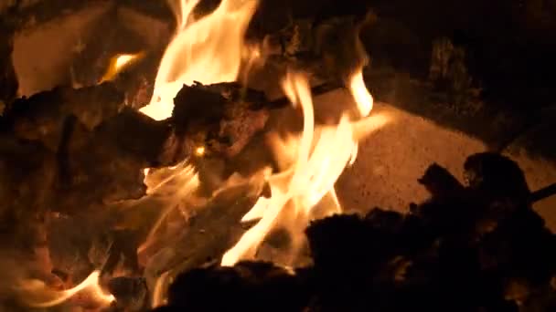 Skewered Maso Syčí Jak Griluje Přes Praskající Plameny Krbu Tradiční — Stock video