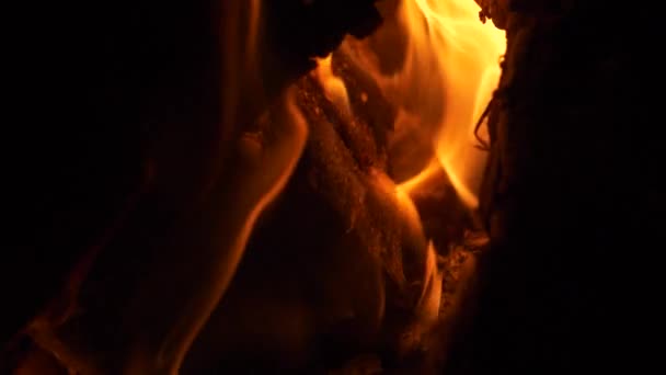 燃烧的木头圆木 生机勃勃的火光 极其特写的慢镜头视频 — 图库视频影像