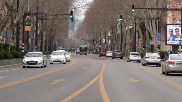 Carros Ônibus Verde Pedestres Navegam Longo Rua Chavchavadze Meio Agitação — Vídeo de Stock