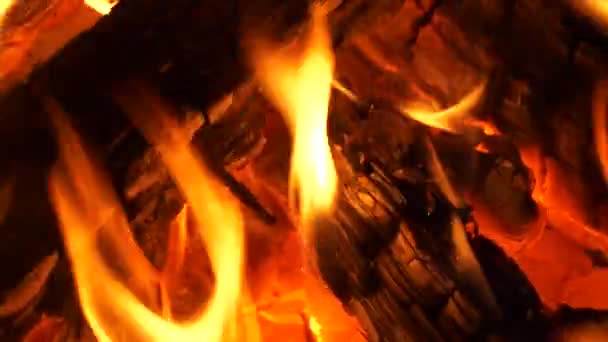 Горящие Дрова Ярким Пламенем Углем Близкого Расстояния — стоковое видео