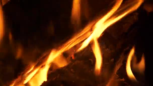 불타는 활기찬 불꽃과 엠버스 극단적인 클로즈업 — 비디오