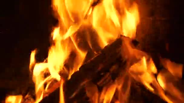 Firewood Burning Fireplace Vibrant Flames Embers Close View — Stock Video