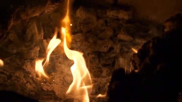 Skewered Meat Sizzles Grilled Crackling Flames Fireplace Traditional Mtsvadi Preparation — Stock Video