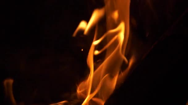Hořící Dřevo Log Pulzující Požární Plameny Extrémní Close Zpomalené Video — Stock video