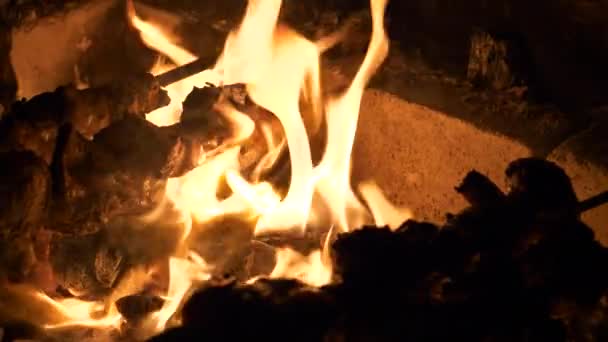 火災で亀裂する炎の上に焼かれるように肉のサイズズルを焼きました 伝統的なムッツヴァディの夜のオープン火災の準備 クローズアップビュー — ストック動画