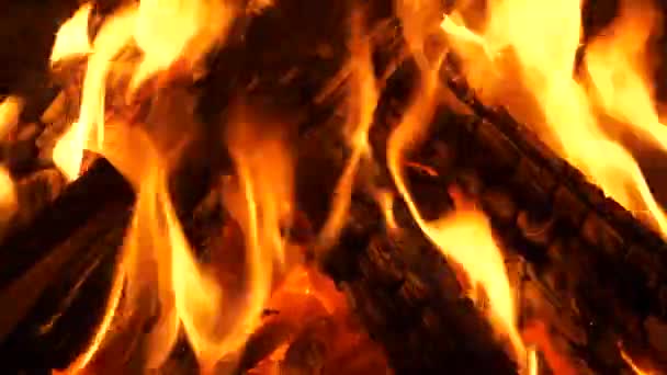 Yakıcı Odun Parlak Alevler Közler Yakın Çekim Manzaralı — Stok video