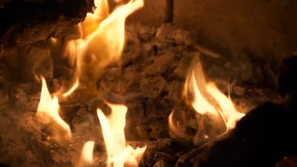 Spießfleisch Brutzelt Während Über Knisternden Flammen Kamin Gegrillt Wird Traditionelle — Stockvideo