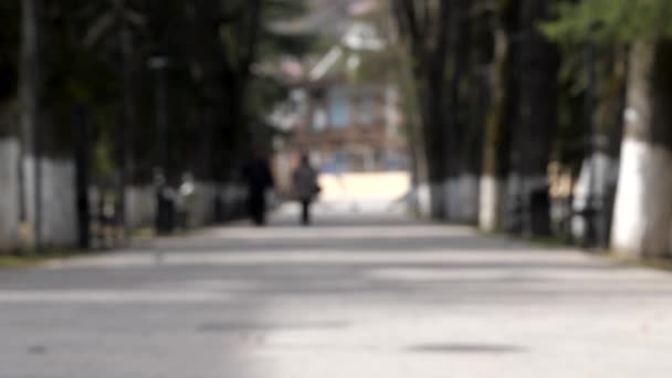 一对老年夫妇悠闲自在地沿着树荫环绕的小巷散步的模糊镜头 — 图库视频影像