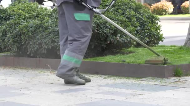 一名工人用慢动作4K镜头用草坪锯齿机修剪城市人行道上的草坪 — 图库视频影像