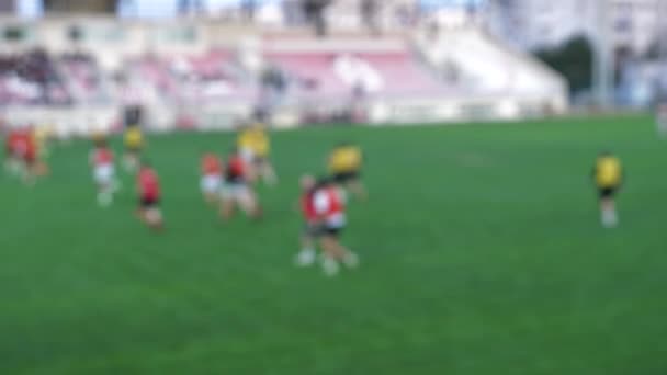 Rugby Training Session Stadium Field Defocused View — Stock Video