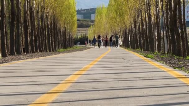 사람들은 햇볕이 나무가 우거진 경로에서 여유롭게 산책을 즐깁니다 — 비디오