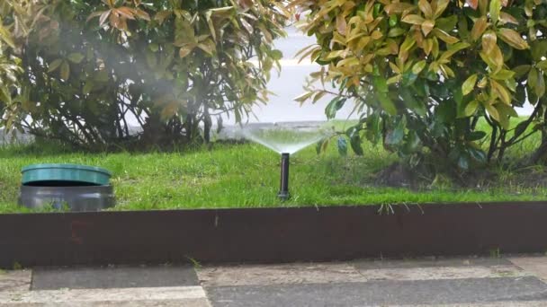 Ένας Ψεκαστήρας Κήπου Ποτίζει Γρασίδι Και Θάμνους Στο Δρόμο Της — Αρχείο Βίντεο