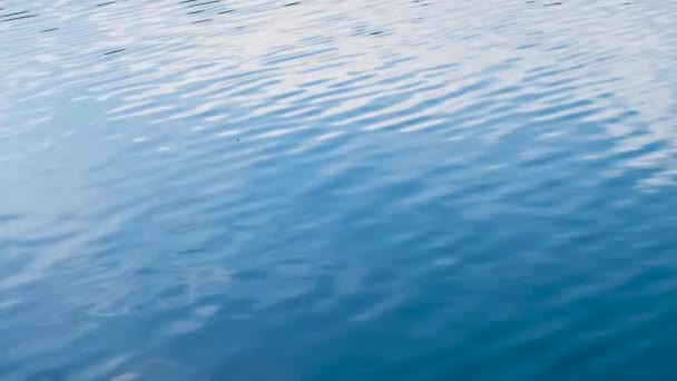 Försiktigt Flytta Blå Vatten Våg Ringar Naturliga Bakgrundsbilder — Stockvideo