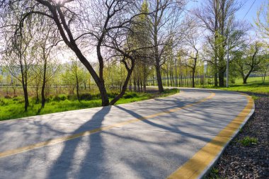 Parkta, güneşli bir sabahta gölgeler bırakan, ilkbahar ağaçlarıyla kaplı, huzurlu ve kıvrımlı bir patika. Taze yeşillik, temiz bir gökyüzünün altındaki yolu sarar..