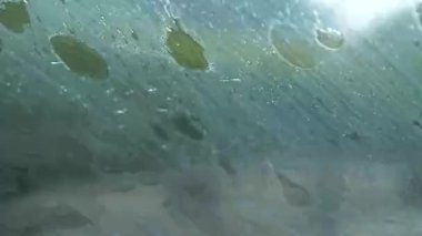 Arabanın ön cam sileceklerinin camdaki yağmur damlalarını temizlediği yakın çekim..