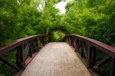 Huzurlu bir beton yol, ağaçlardan ve çalılardan gelen canlı yeşilliklerle çevrili bir köprüden geçiyor. Parkta sakin bir atmosfer yaratıyor ve ziyaretçileri gezmeye davet ediyor..