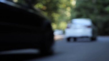 Yemyeşil bir ormanın içinden dolambaçlı bir yol boyunca giden arabalar, mavi video arka plan.