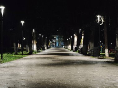 Geceleri ıssız bir parkı aydınlatan banklar ve modern sokak lambalarıyla dolu bir patika.
