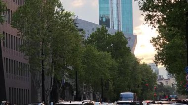 Şehir trafiği gün batımında ağaç yolu boyunca yavaşça akar, doğa ve modern mimarinin bir karışımını sergiler.