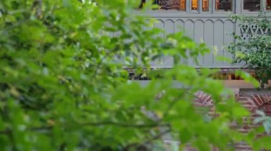 Alacakaranlıkta sıcaklık ve sükunet saçan büyüleyici kulübenin aydınlatılmış yeşil yapraklı çerçeveleri