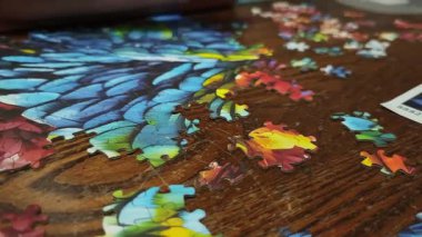 Kadın canlı bir kuş bulmacasını birleştiriyor, tahta bir masada parçaları birleştiriyor.