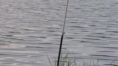 Oltada ısırık olmadığını gösteren bir olta kamışı.