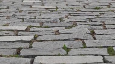 Çimenli kaldırımda ilerleyen bir kamera.