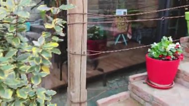 Çiçek saksıları bir restoranın girişine renk katıyor.