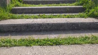 Farklı merdivenlerin beton basamakları arasında çimenler büyüyor.
