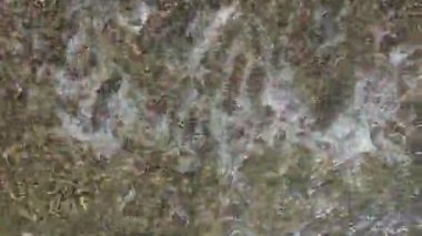 Kristal berrak su güneşli bir sahilde yumuşak çakıl taşlarının üzerinde hafifçe süzülür.