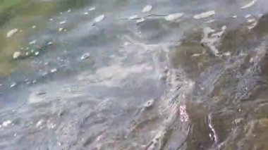 Kristal berrak su, su altındaki kayaların üzerinden akar, küçük dalgalar ve dalgalanmalar yaratır.