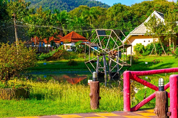 San Kamphaeng, Chiang Mai Eyaleti Tayland 'da yeşil doğa ve çiçek kampı.