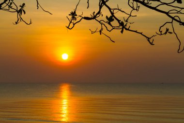 Tailand 'daki Bang Boet Prachuap Khiri Khan Eyaleti' nde ağaç gündoğumu ve silueti seyahat ve dinlenme ile ünlüdür.