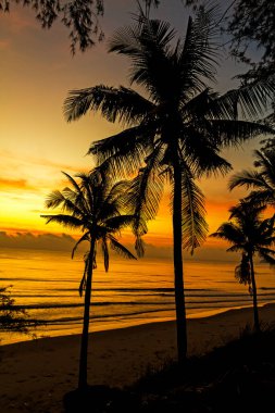 Prachuap Khiri Khan eyaleti Tayland 'da gün doğumu ve sahilde hindistan cevizi whit silueti, Ban Krut Sahili' nde gezintileri meşhurdur..