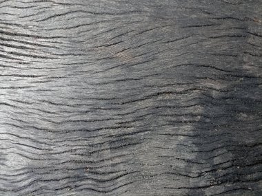 Eski ahşap yüzeyin yakın plan görüntüsü zengin ve karmaşık bir buğday ve düğüm deseni ortaya çıkarıyor..